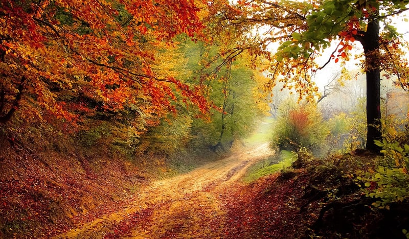 Road to Self-Improvement